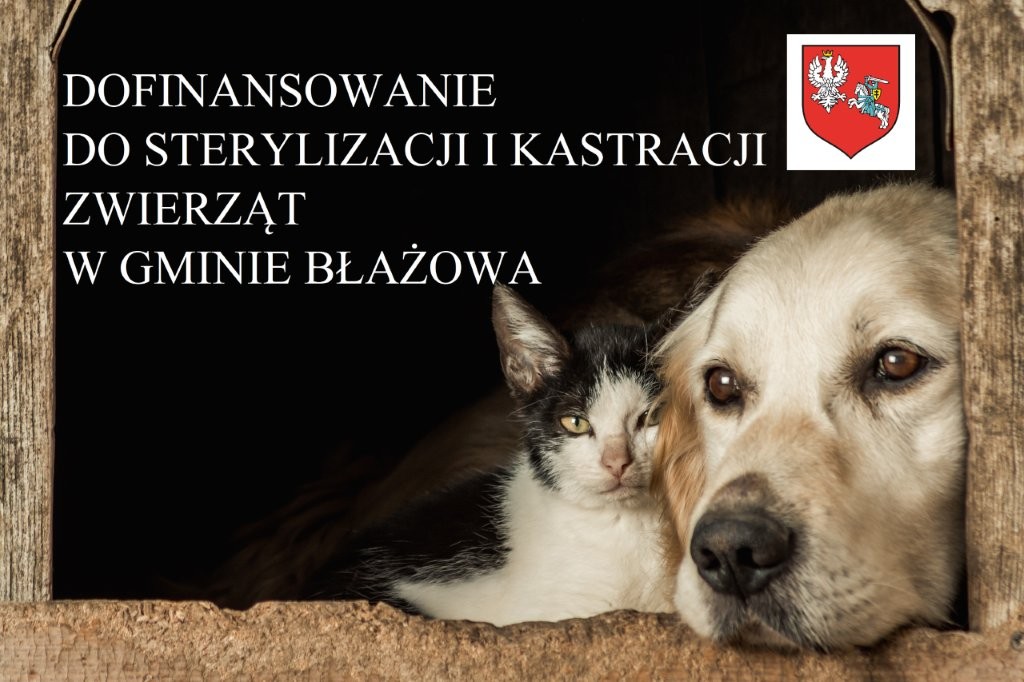 Sterylizacja zwierząt