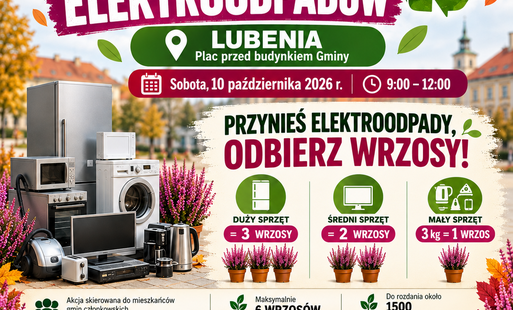 Wielka zbiórka elektroodpadów