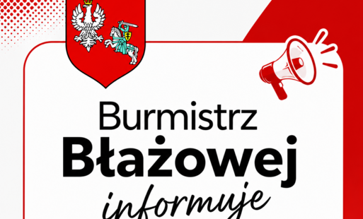 koncepcja planu ogolnego